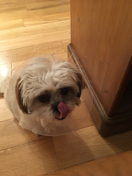 Brave Babes...braving the Autumn