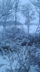 Swagger In  Thread 139 - Yesterday was Halloween, Team A agree that this man can give them the willies any time he likes