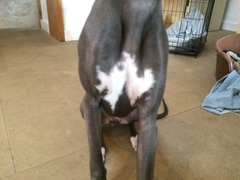 Any knitters who could help me with a Christmas present?