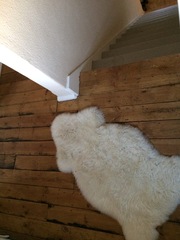 Updating wood floor