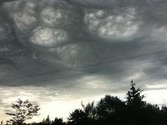 Neurodiversity thread - for all MNetters who are neurodiverse - ASD, ADHD, Dyspraxia and more.