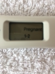 2 tests, 2 faint pink lines.