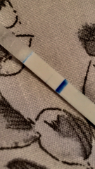 Help!! Taken two clearblue tests one looks positive the other looks negative