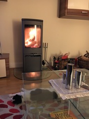 multi stove vs electric fire