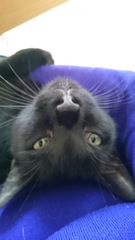 Show me your pussy!