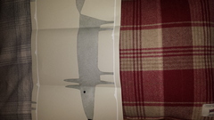 Which wallpaper? Pics