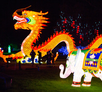 NEW COMPETITION! Win tickets to Magical Lantern Festival Birmingham