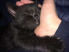 Show me your pussy!