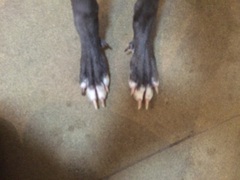 Any knitters who could help me with a Christmas present?