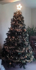 To ask those who have artificial Christmas Trees...why?