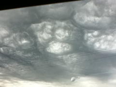 Neurodiversity thread - for all MNetters who are neurodiverse - ASD, ADHD, Dyspraxia and more.