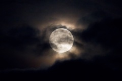 BOO! The Freaky Frugaleers prepare for Halloween and beyond. All welcome!