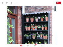 What can I do with this corner? which plant?