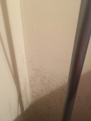 Condensation damp