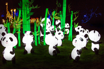 NEW COMPETITION! Win tickets to Magical Lantern Festival Birmingham