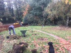Turning back garden into veg patch