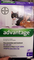Any flea experts...confused?
