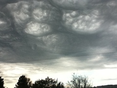 Neurodiversity thread - for all MNetters who are neurodiverse - ASD, ADHD, Dyspraxia and more.