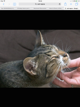 Show me your pussy!