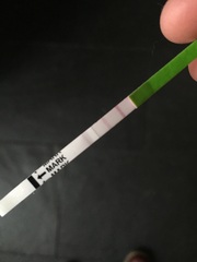 Ovulation test + or - please