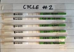 Thread 21 TTC #1 - The one where all our cycles went haywire but we DID NOT GIVE UP