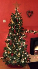 Do you have a themed tree or an 'anything goes' tree?