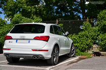 New Audi car colour- HELP please!! Grey/White??