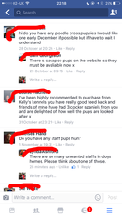 Puppy farm?