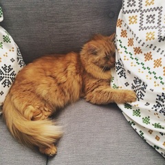Show me your pussy!