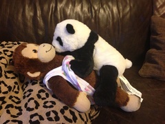 DS got the fucking class teddy bear this weekend.