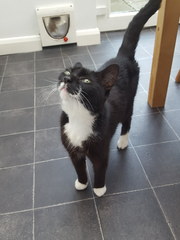 Show me your pussy!