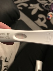 IVF Cycle buddies November/December