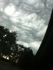 Neurodiversity thread - for all MNetters who are neurodiverse - ASD, ADHD, Dyspraxia and more.