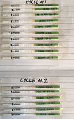 Thread 21 TTC #1 - The one where all our cycles went haywire but we DID NOT GIVE UP