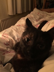 Meet Lil