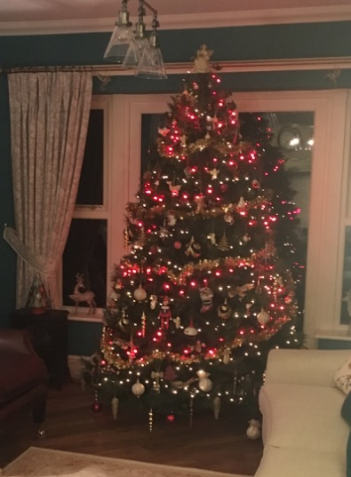Show Us Your TREES!