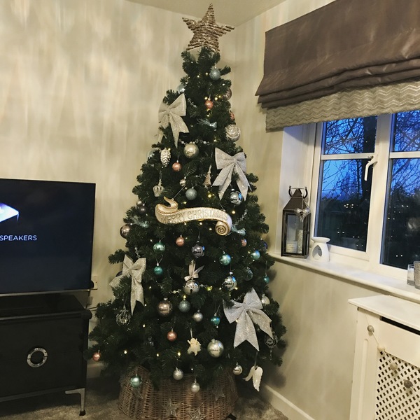 Show Us Your TREES!