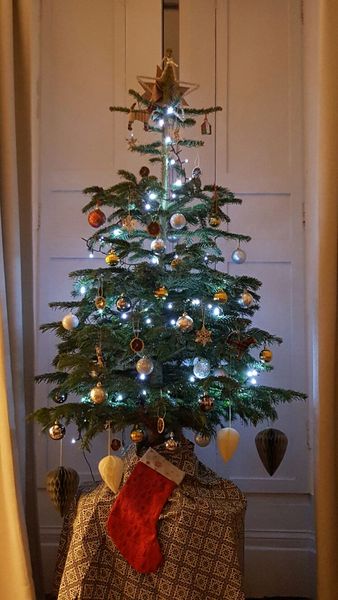 Show Us Your TREES!
