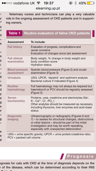 Advice about kidney problem