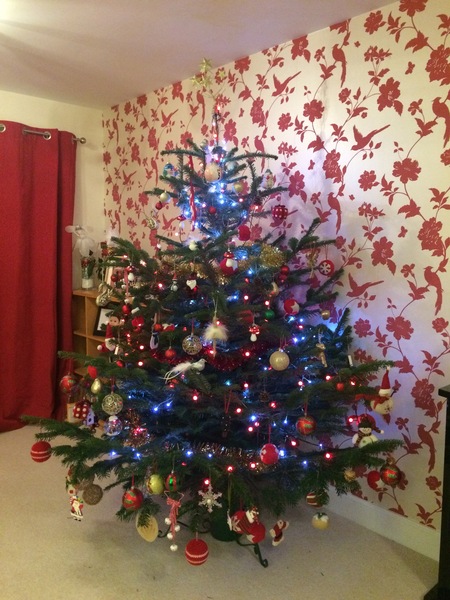 Show Us Your TREES!