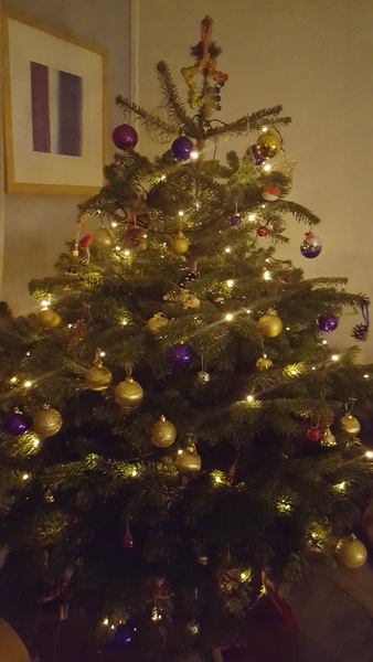 Show Us Your TREES!