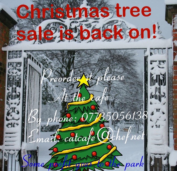 A list of places to buy a real Christmas tree in Lambeth