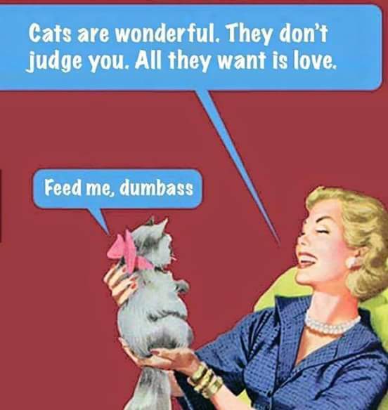 Swagger Inn 140 - Where The Musketeers shout "We've come for your wenches" and The Wenches shout "Okay!"