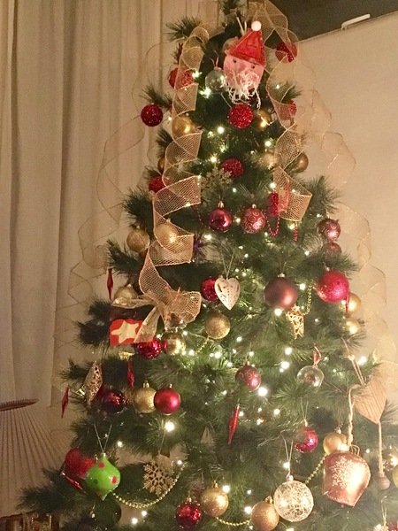 Show Us Your TREES!