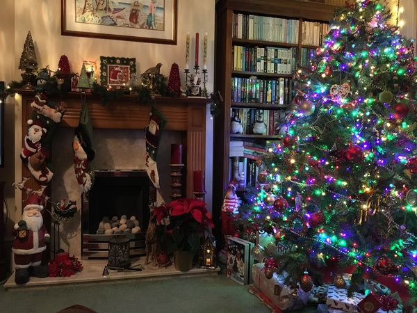 Show Us Your TREES!