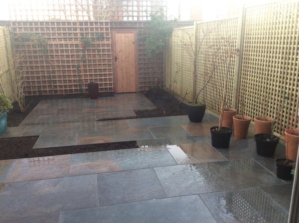 "in the midst of winter, I found there was within me, an invincible summer" Potting shed chat continues here