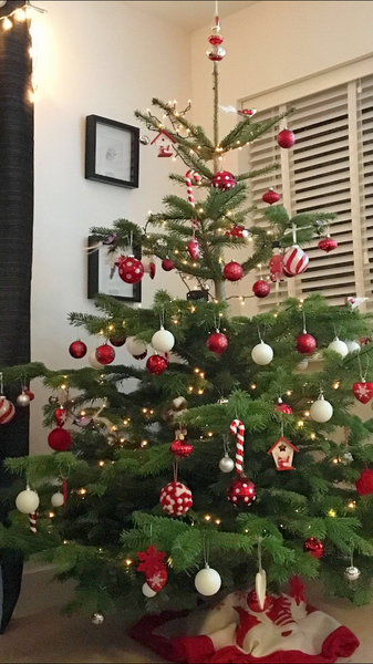 Show Us Your TREES!