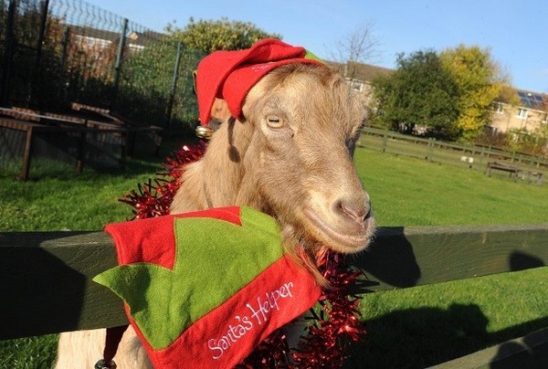 Mumsnet Nottingham Advent Calendar