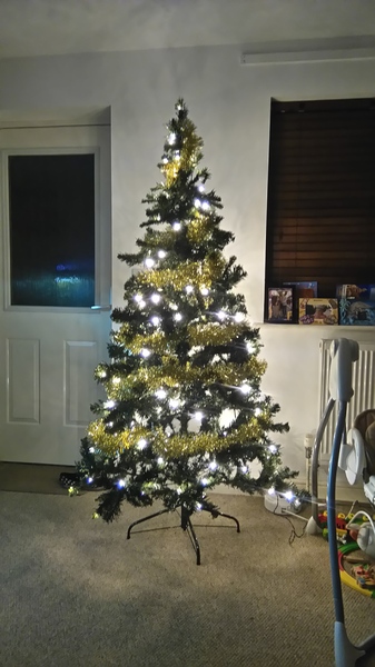 Show Us Your TREES!