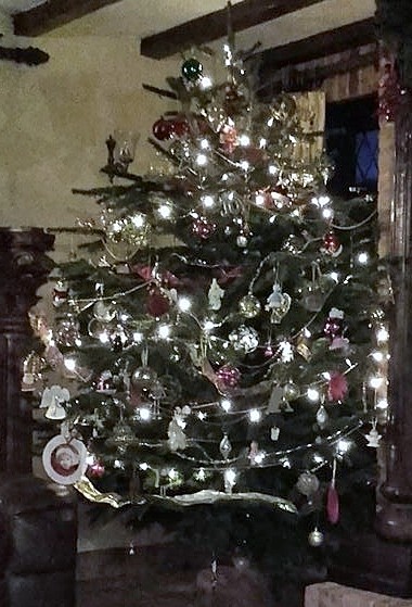 Show Us Your TREES!